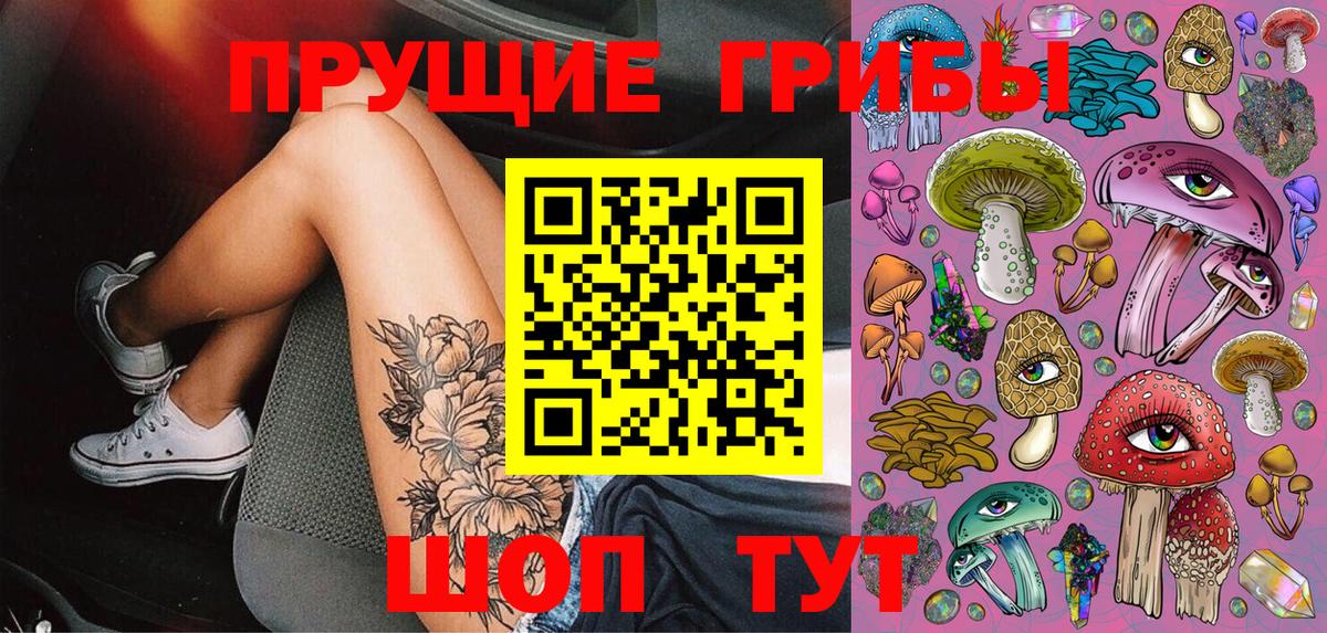 Галлюциногенные грибы Psilocybine cubensis  Вход с VPN  Качканар 